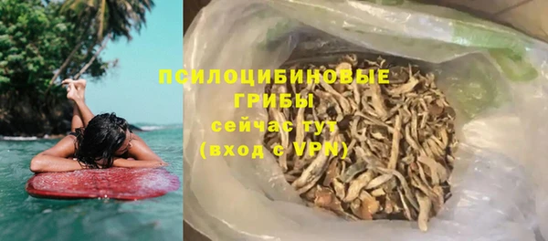 твердый Верхний Тагил